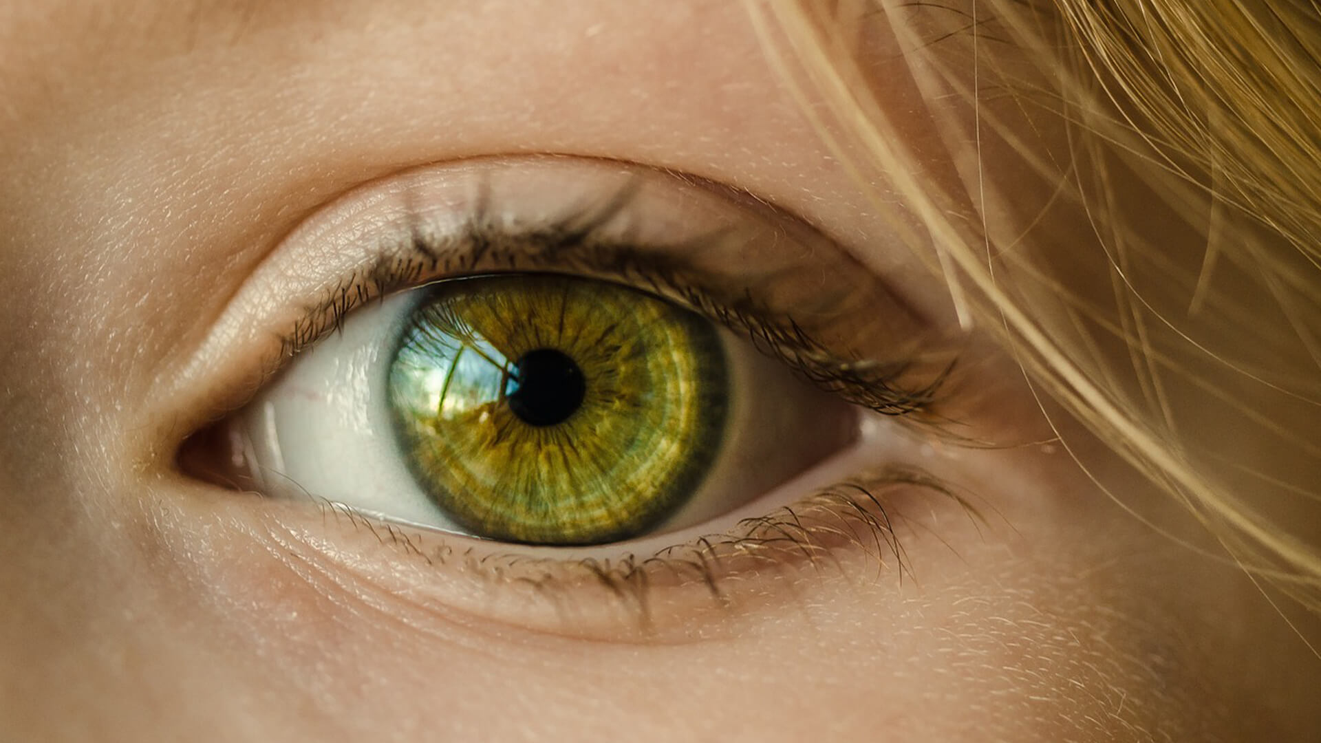 Eye Emergency | Queensland Eye & Retina Specialists